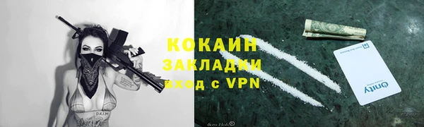 мяу мяу мука Покачи