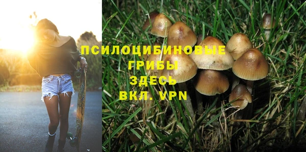 мескалин Абаза