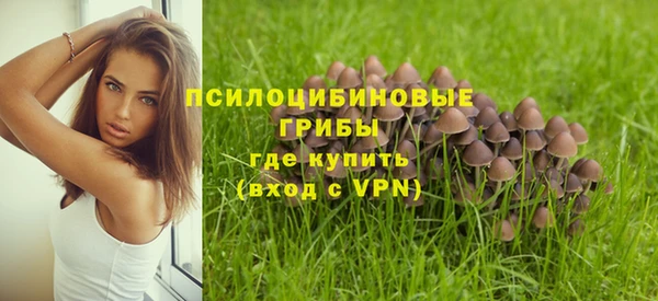 ALPHA-PVP Покровск