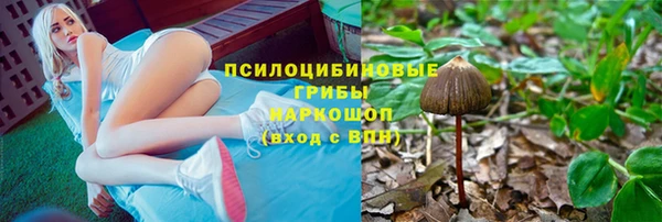 мескалин Абаза