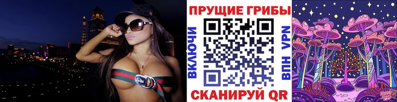 Псилоцибиновые грибы Psilocybe Константиновск